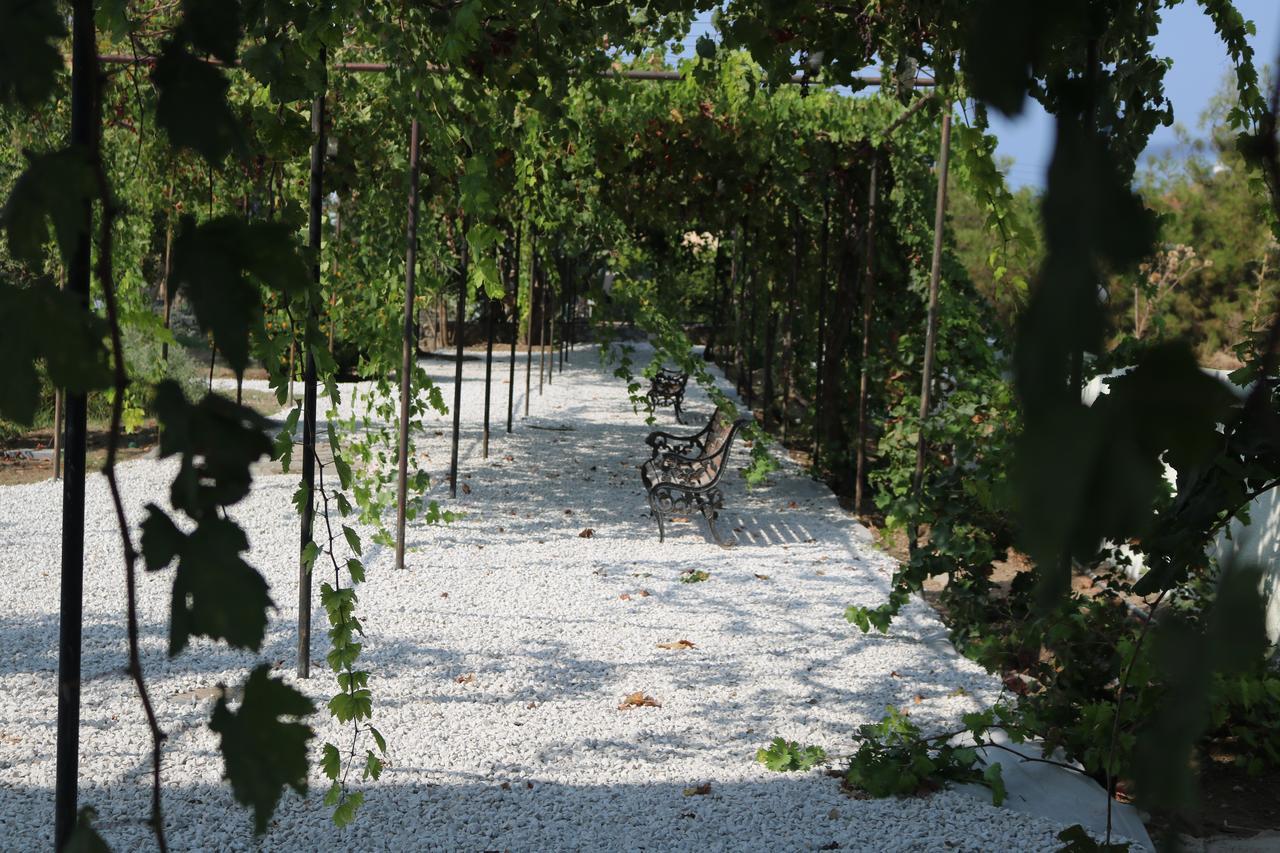Meryem'S Hotel Agios Epiktitos Exteriör bild