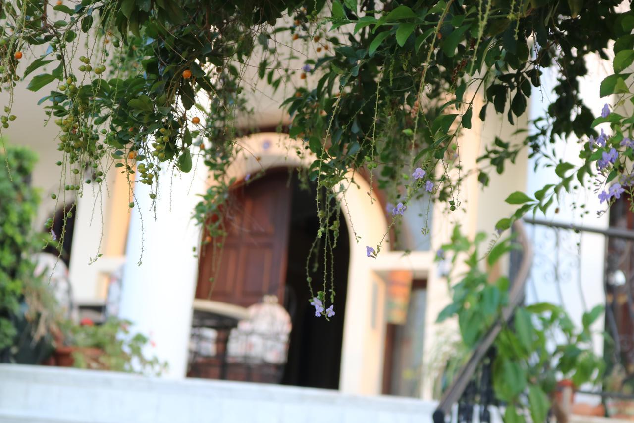 Meryem'S Hotel Agios Epiktitos Exteriör bild
